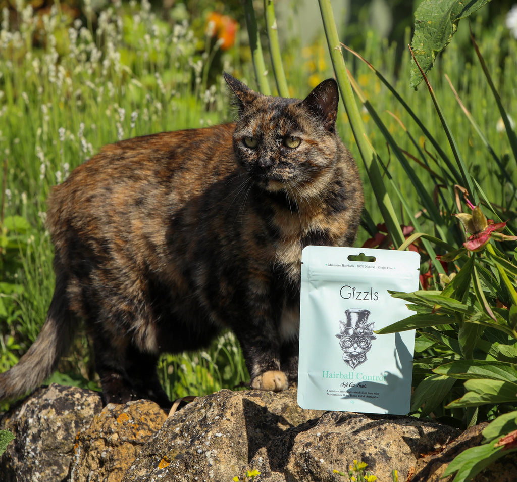 Friandises douces pour chats Hairball Control