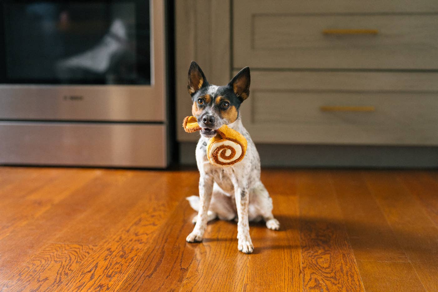 Cinnamon Roll - Jouet pour chien