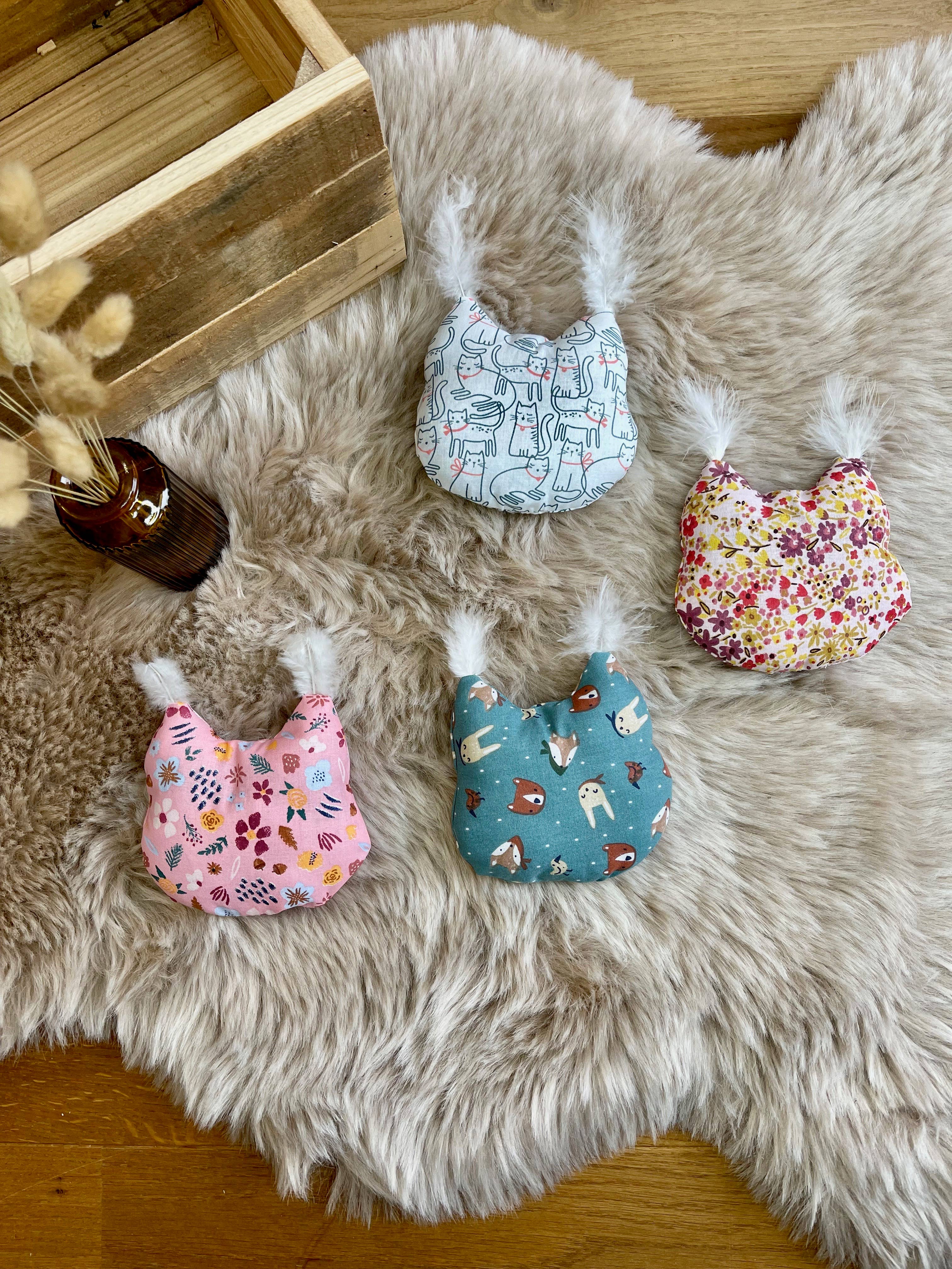 Coon-ssin à l'herbe à chat