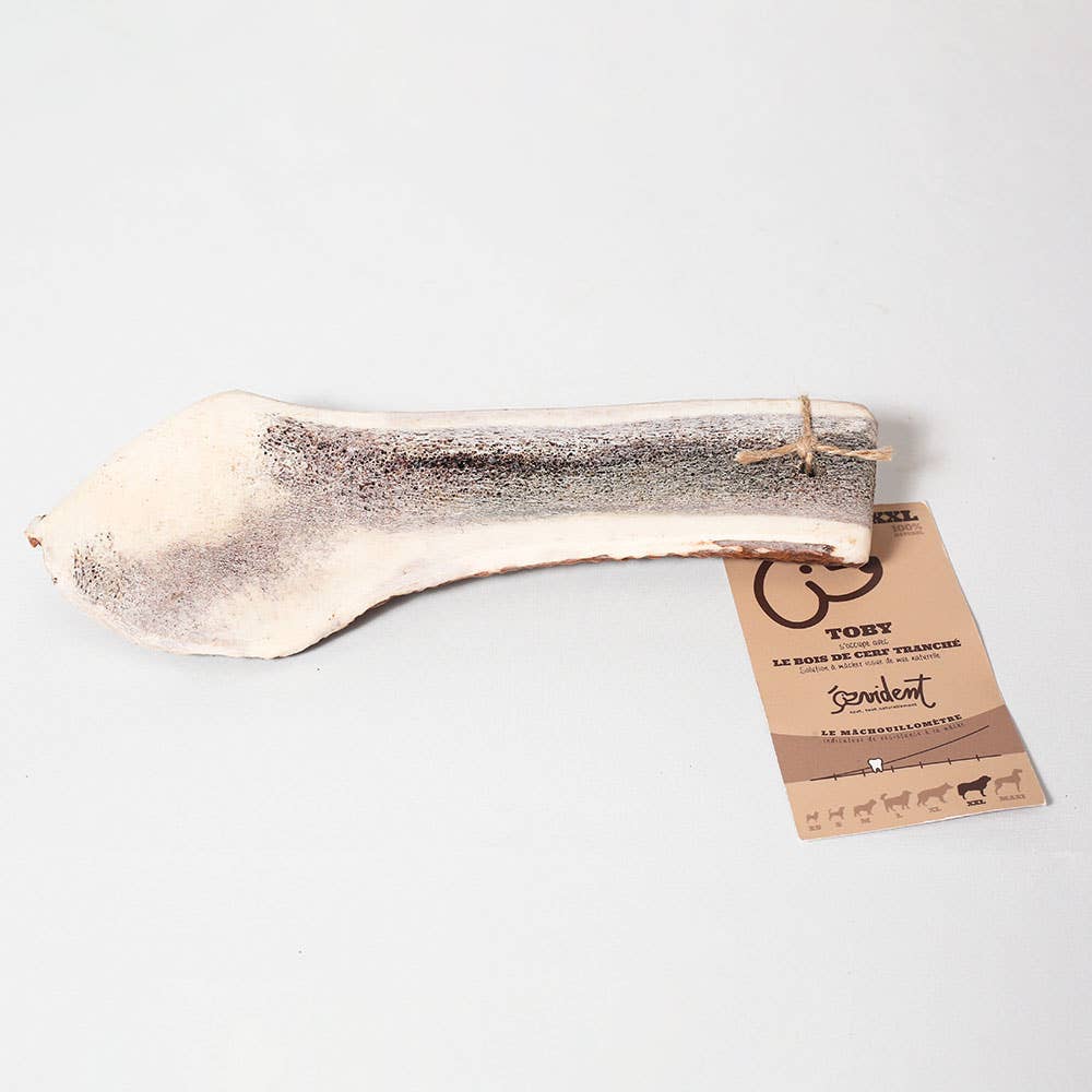 TOBY - Bois de cerf tranché à mâcher pour chien