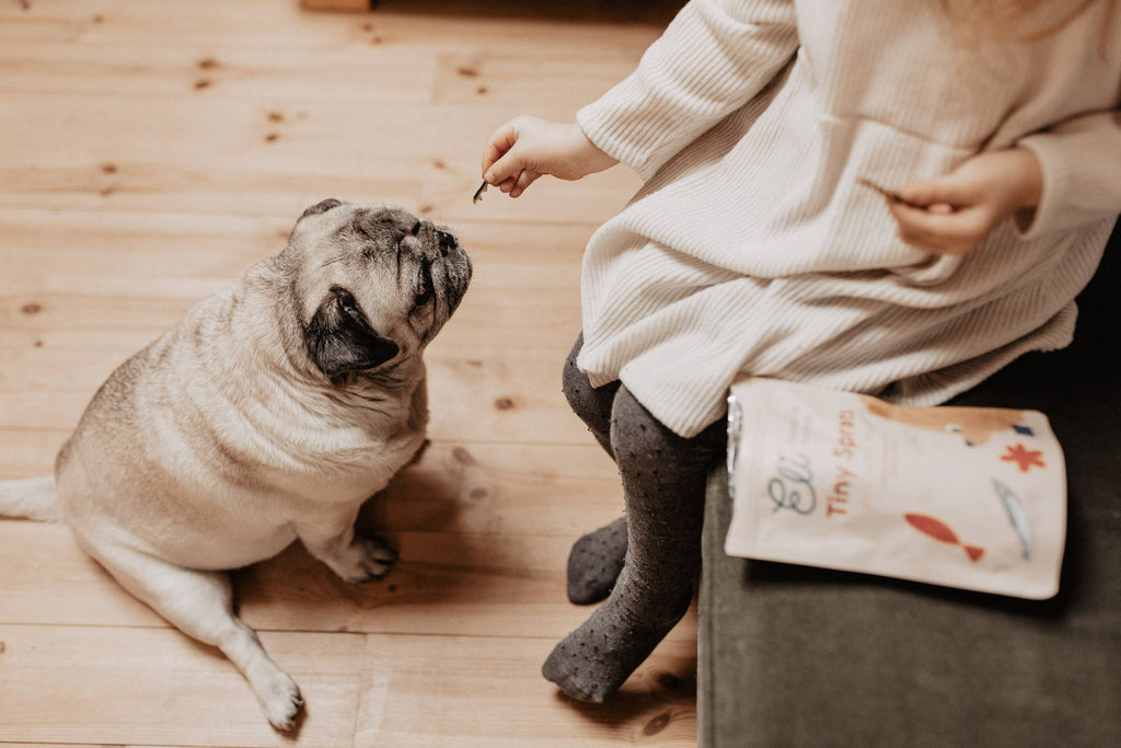 Friandises pour chiens 100 % naturelles de sprats séchés 80g