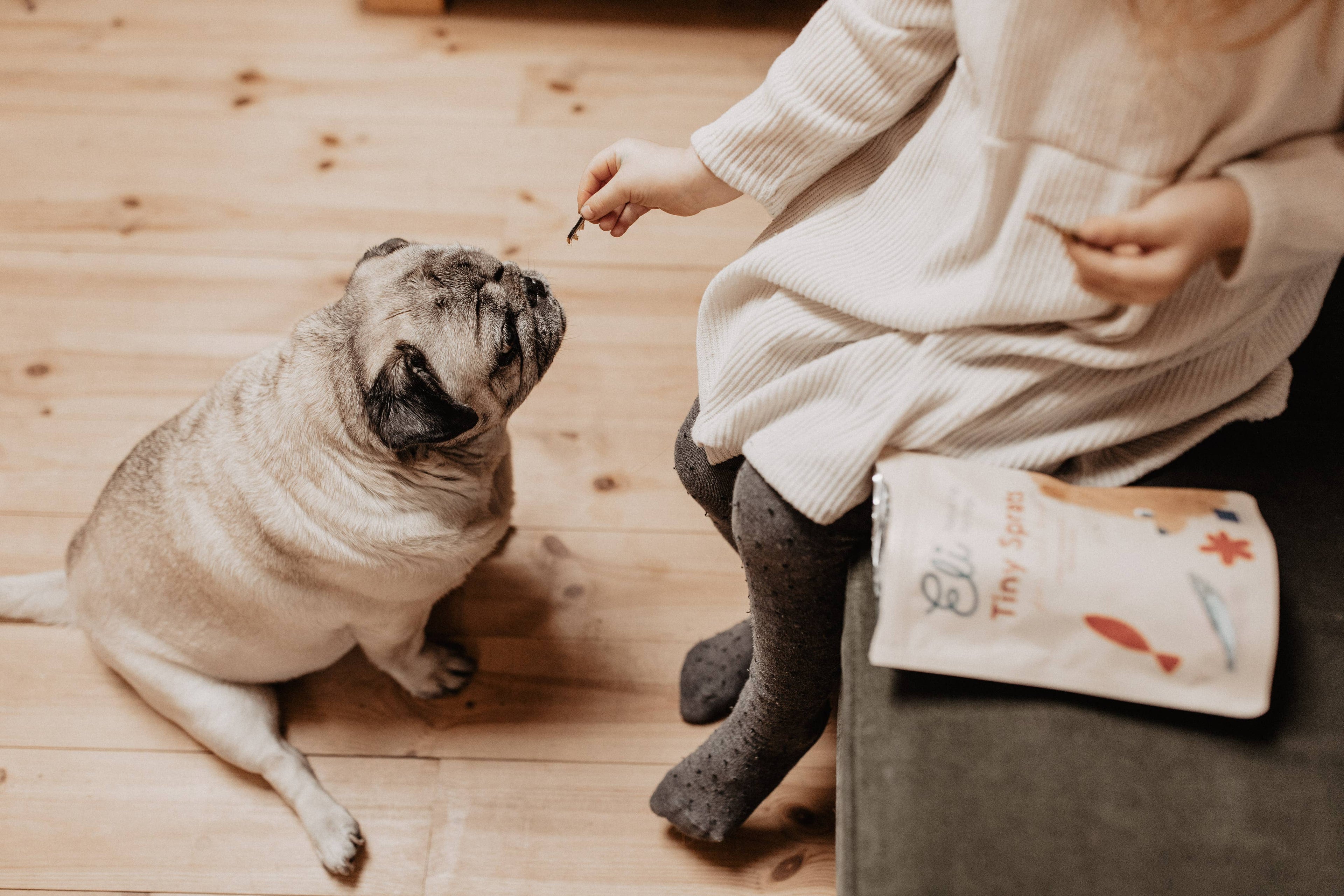 Friandises pour chiens 100 % naturelles de sprats séchés 80g