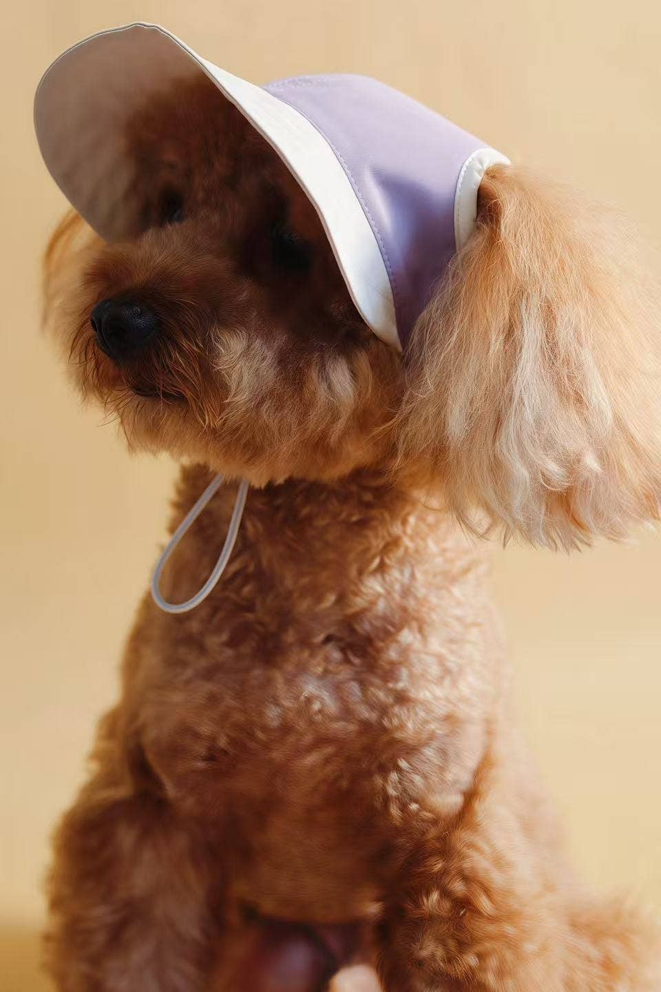 Chapeau pour chien Moonrise – Chalk Purple | Protection UV & pluie