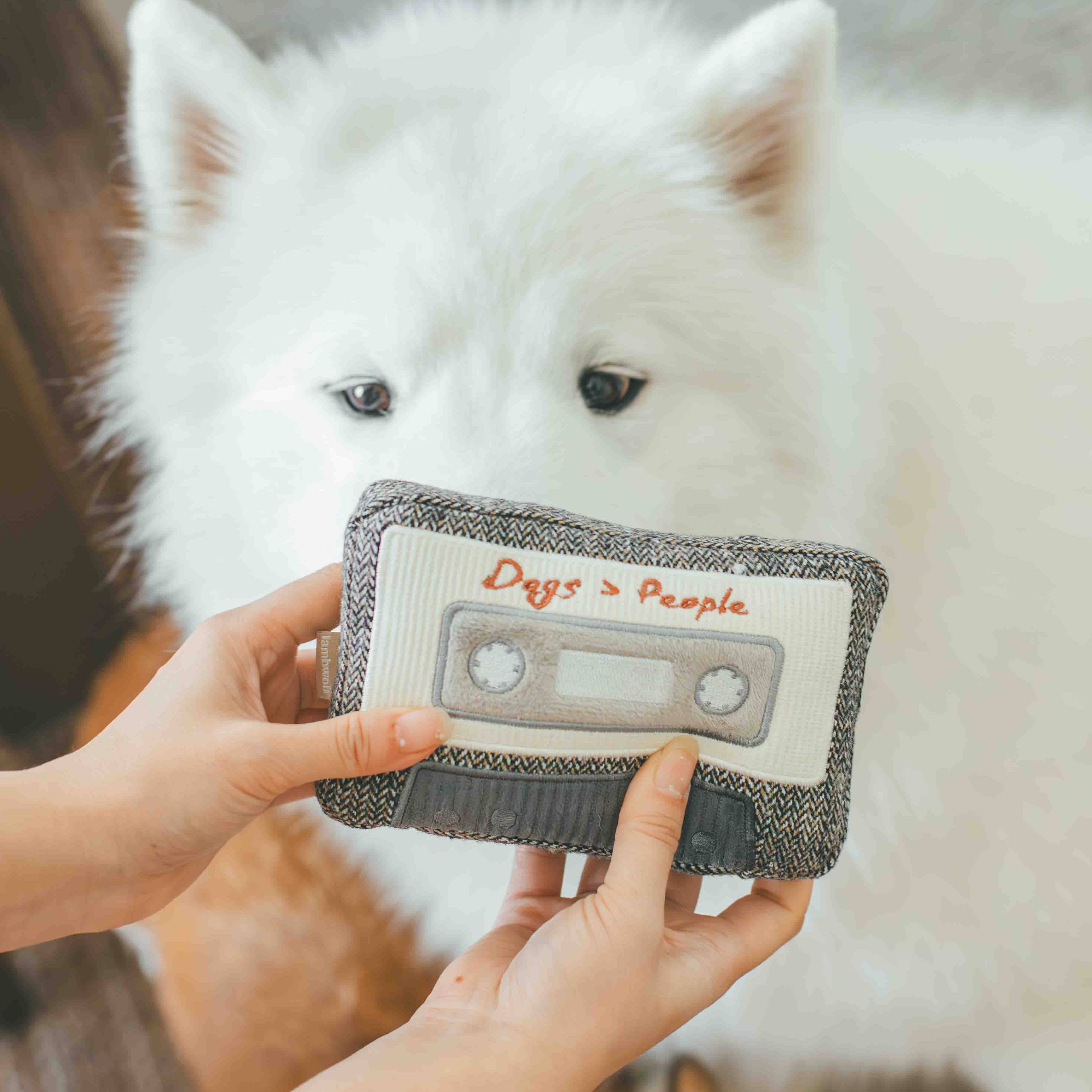 Jouet pour chien CASSETTE - Fouille