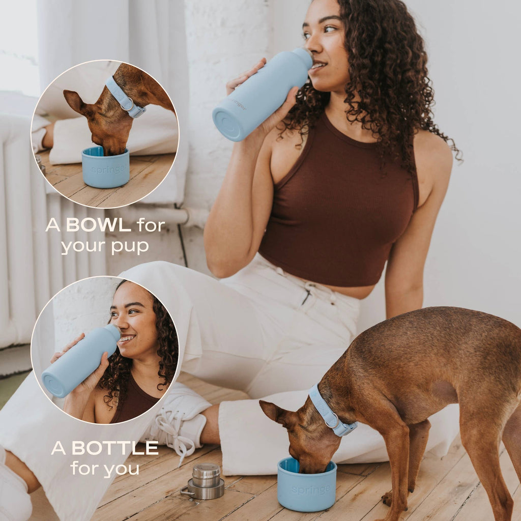 Gourde Isotherme Dog & Me Springland Pets — 710 ml avec bol détachable