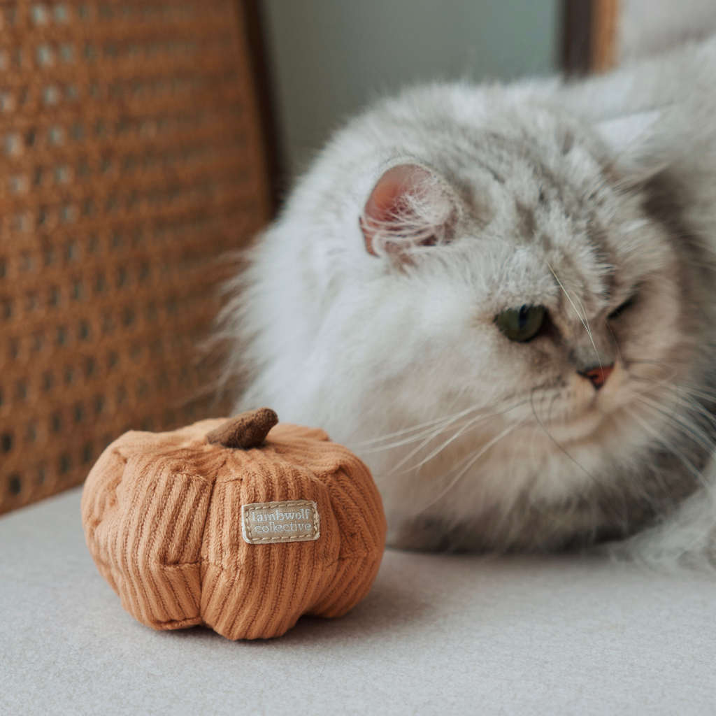 Jouet pour chat LEGUMES