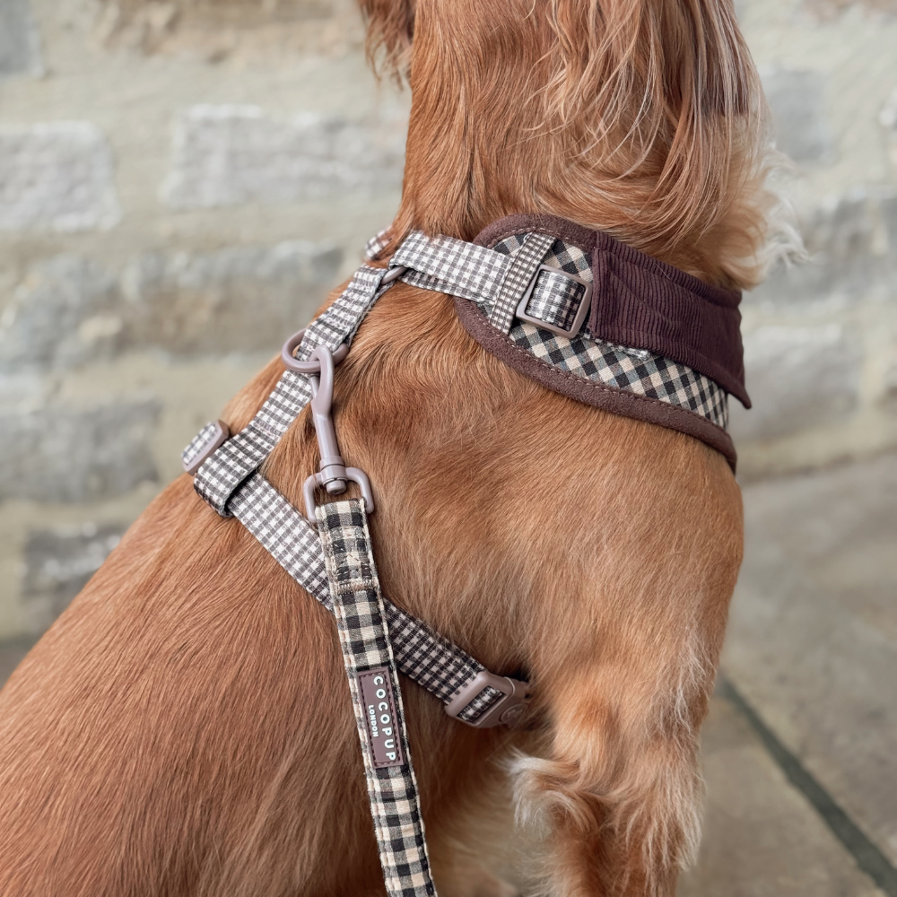 Laisse Cotswolds Check – Cocopup London