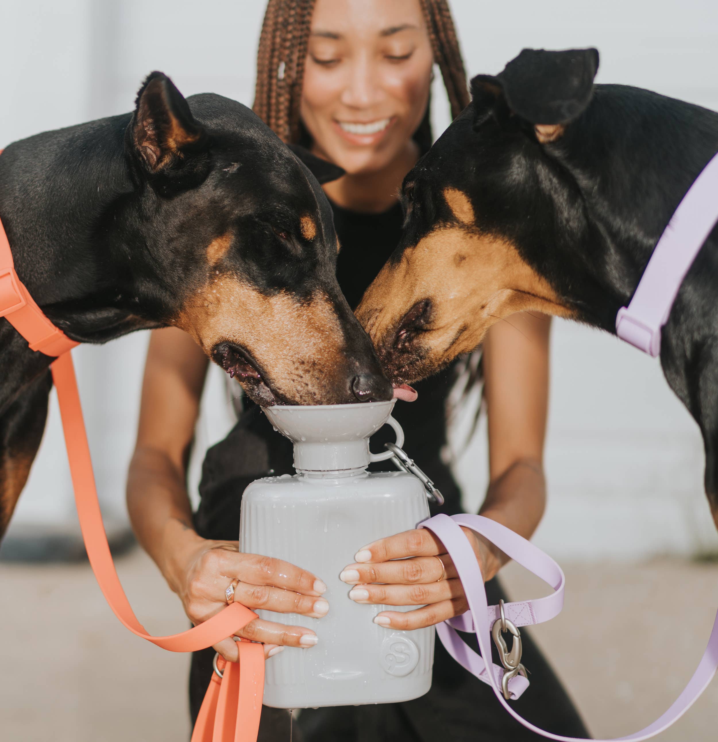 Gourde Portable Springland Pets XXL  — 1,3 L