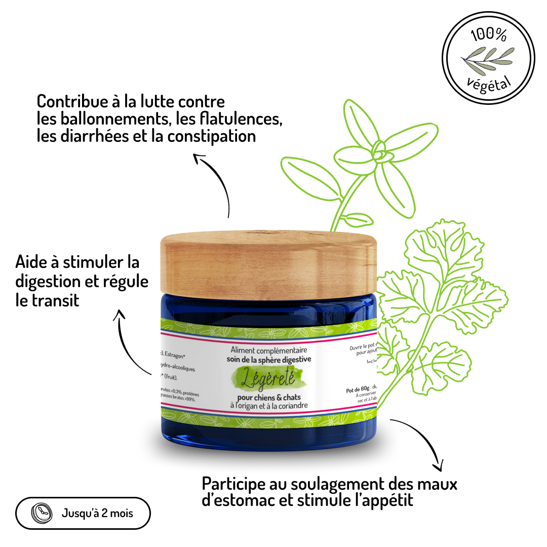 Sphère digestive – Cure courte – Complément alimentaire