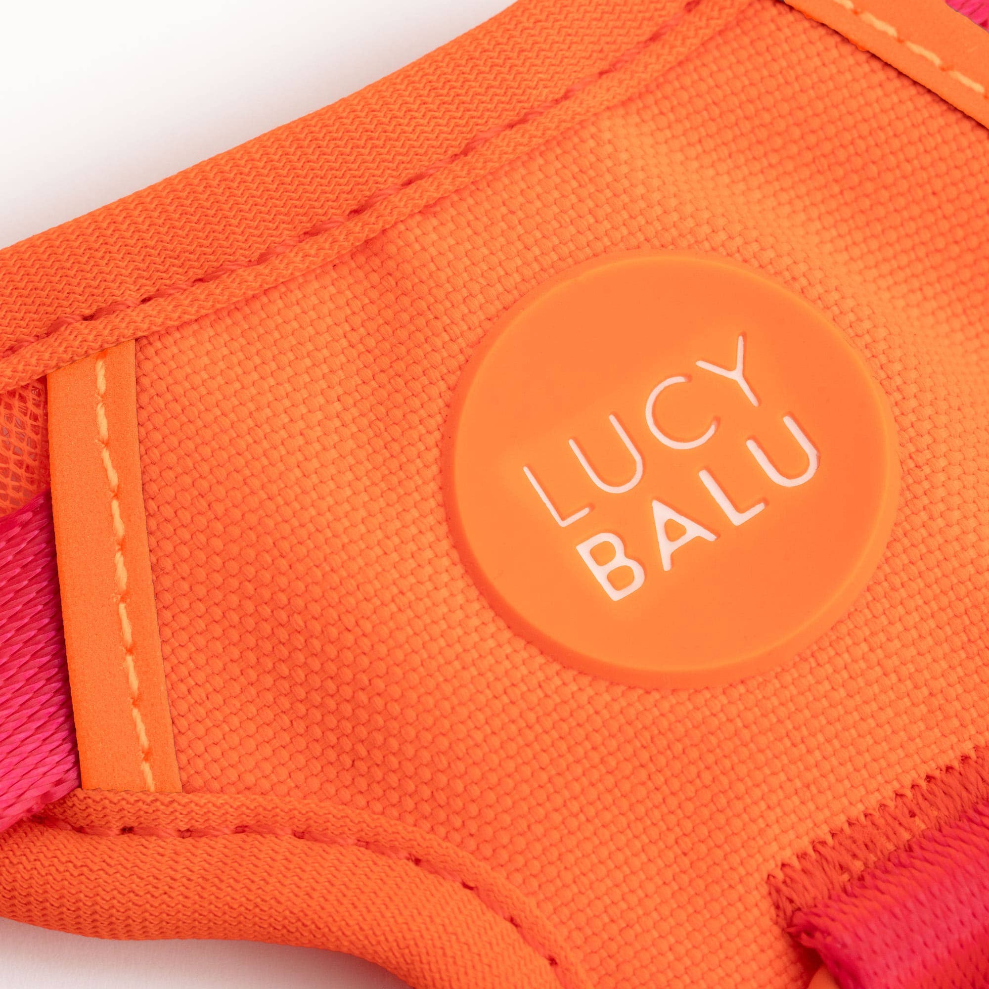 LucyBalu — Harnais Explorer pour Chat avec Laisse 1,5 m