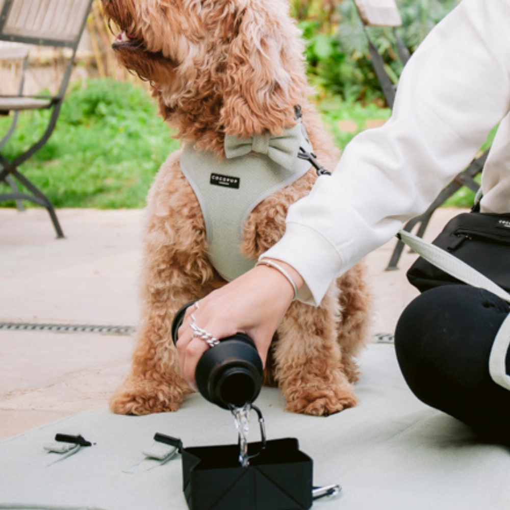 Bol de voyage pliable - Noir