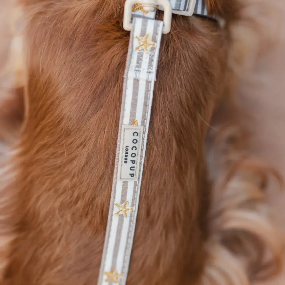 Laisse Sandy Starpaws – Cocopup London