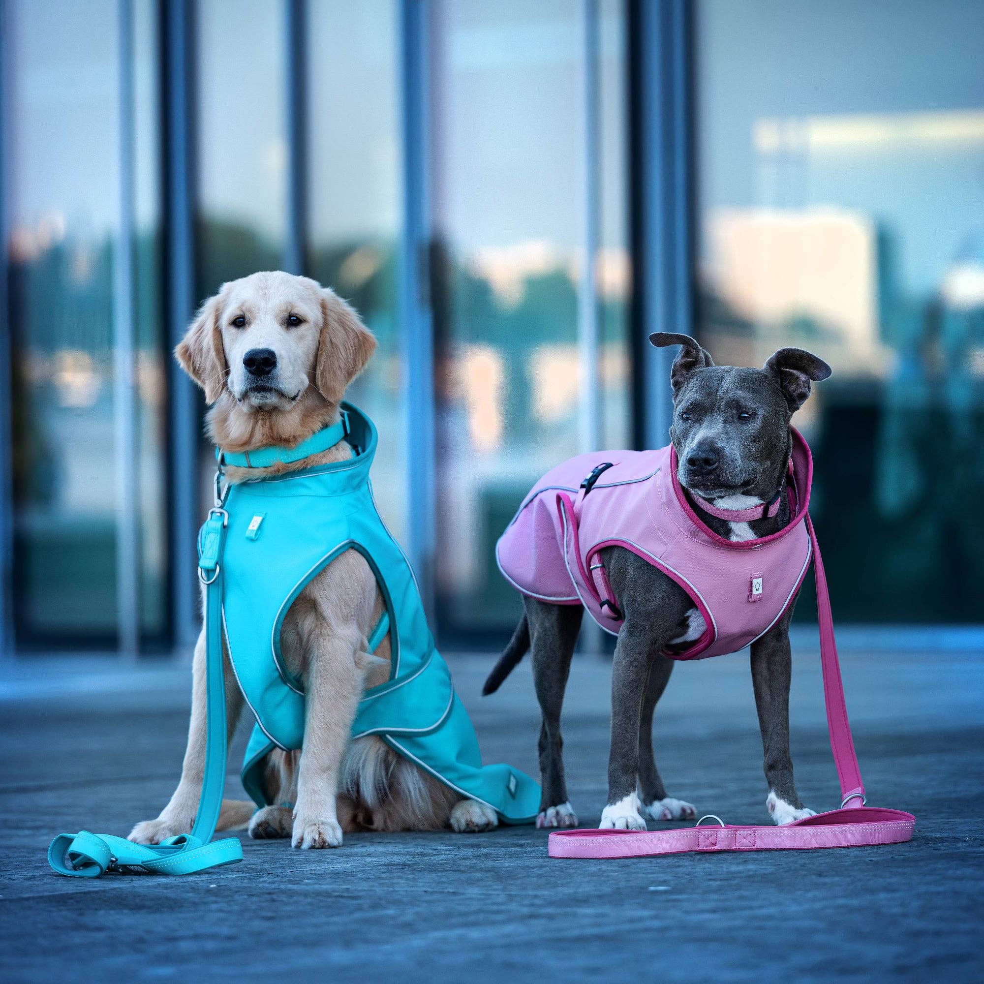 Imperméable pour chiens - Matrix 2.0 Sand