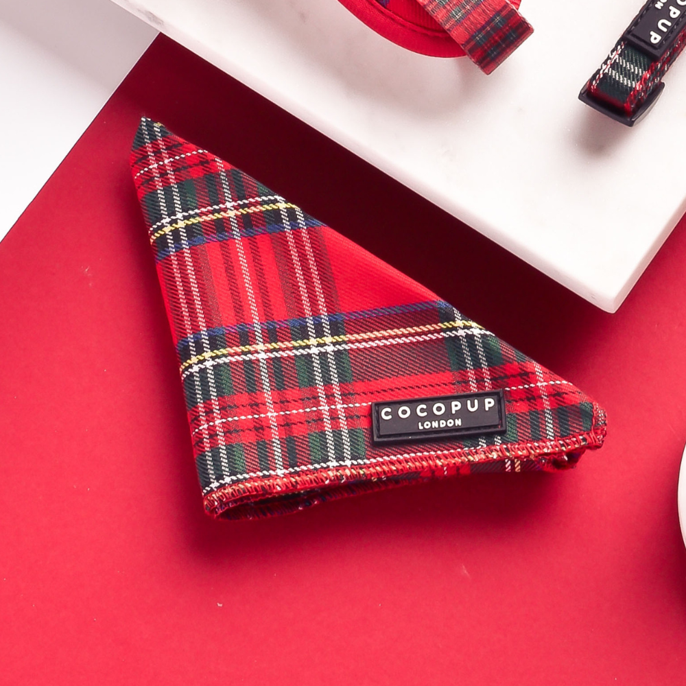 Foulard Tartan – Cocopup London