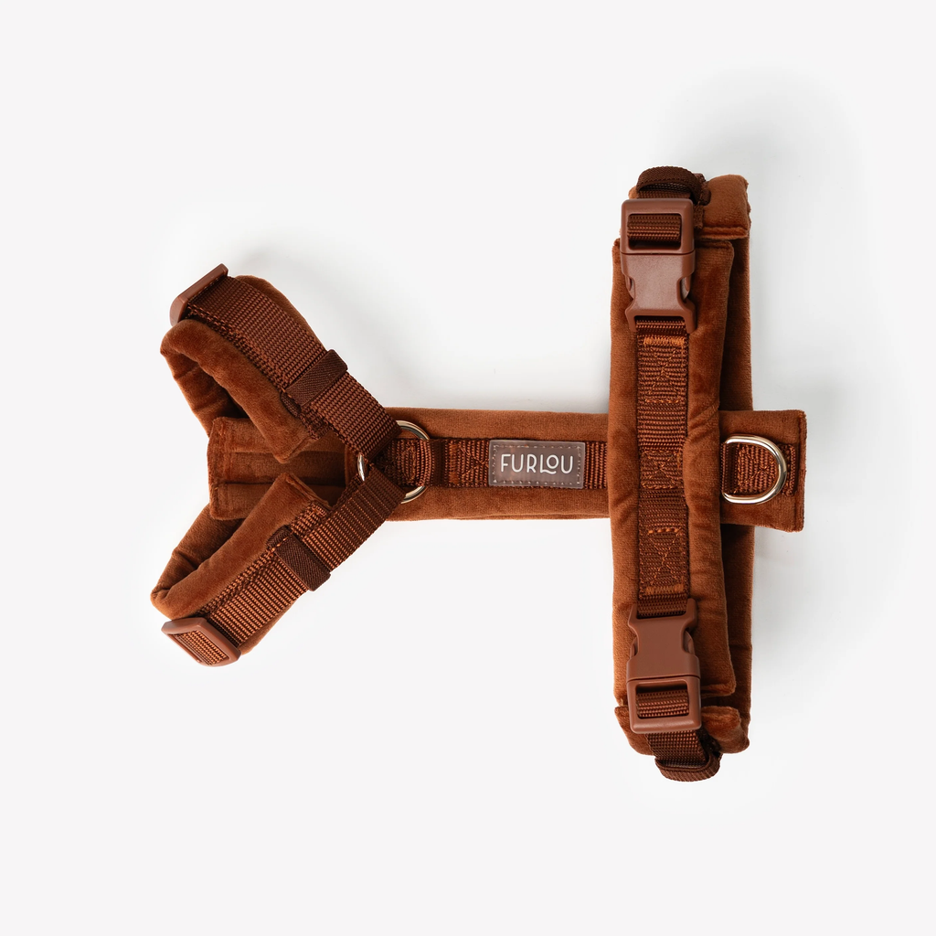 (Pré-commande)Harnais en velours pour chien Furlou – Clay