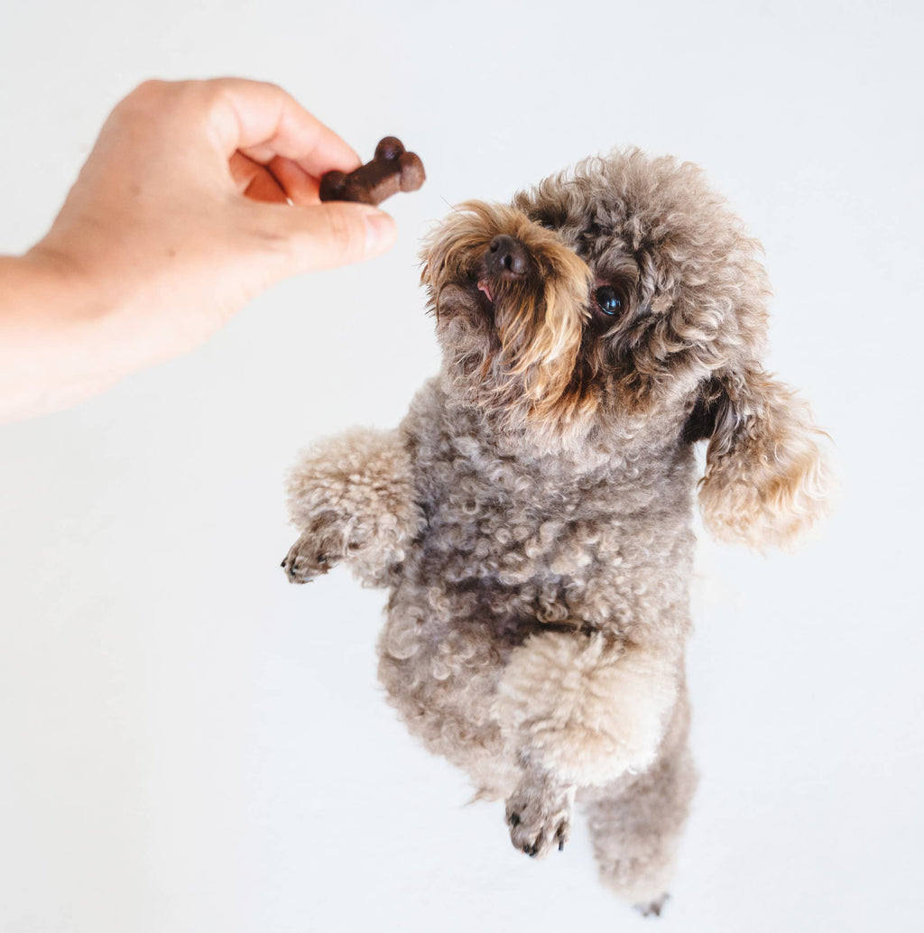 Friandises pour chiens Gizzls Soft Bites au beurre de cacahuète et à la banane (150 g)