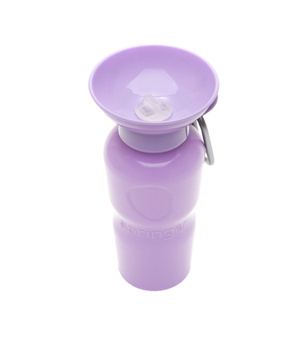 Springer Pet - Gourde 650ml