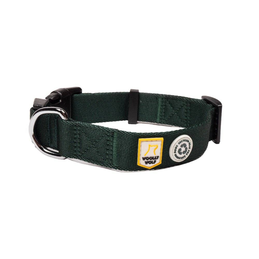Collier pour chien Evergreen recyclé (RPET)