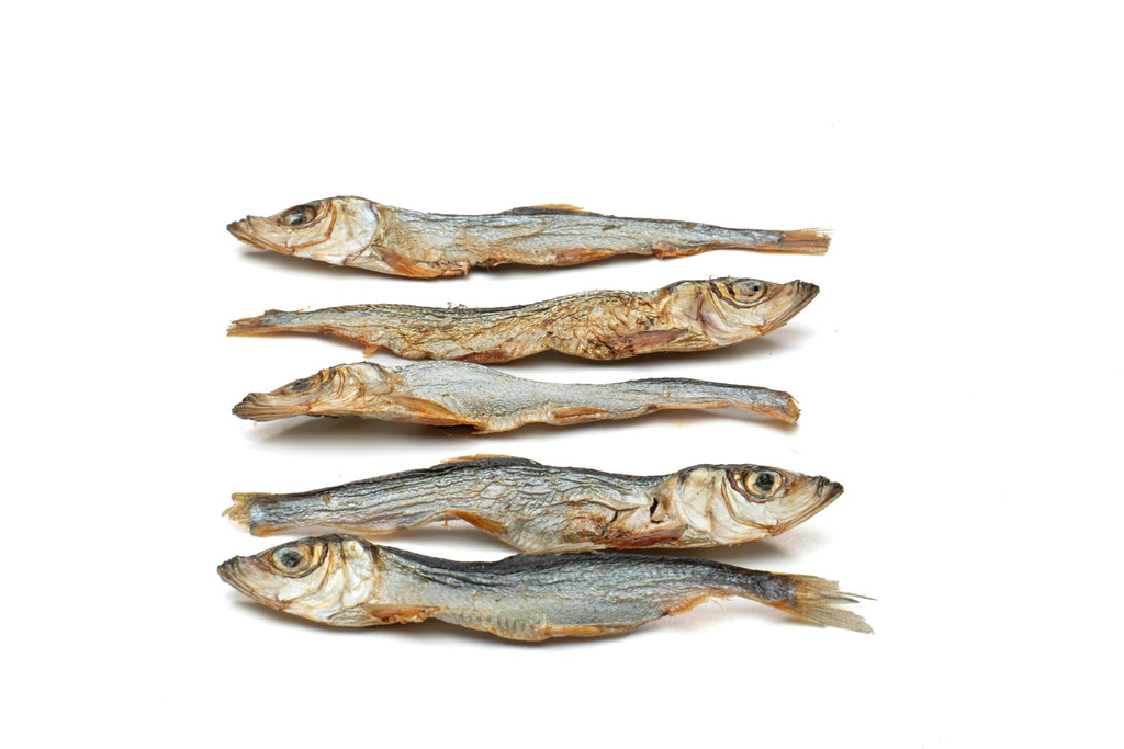 Friandises pour chiens 100 % naturelles de hareng de la Baltique séché 80g