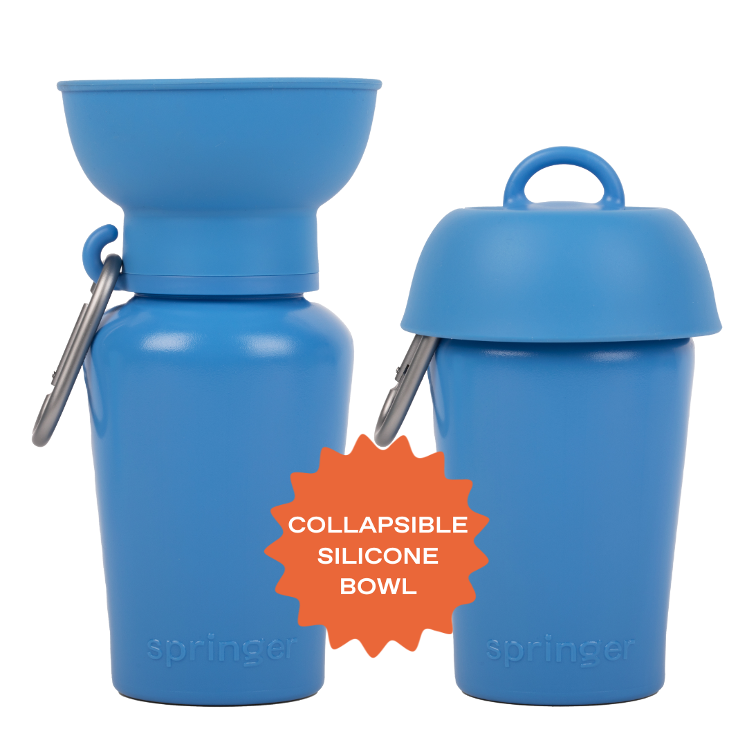 Gourde Portable Springland Pets — 591 ml