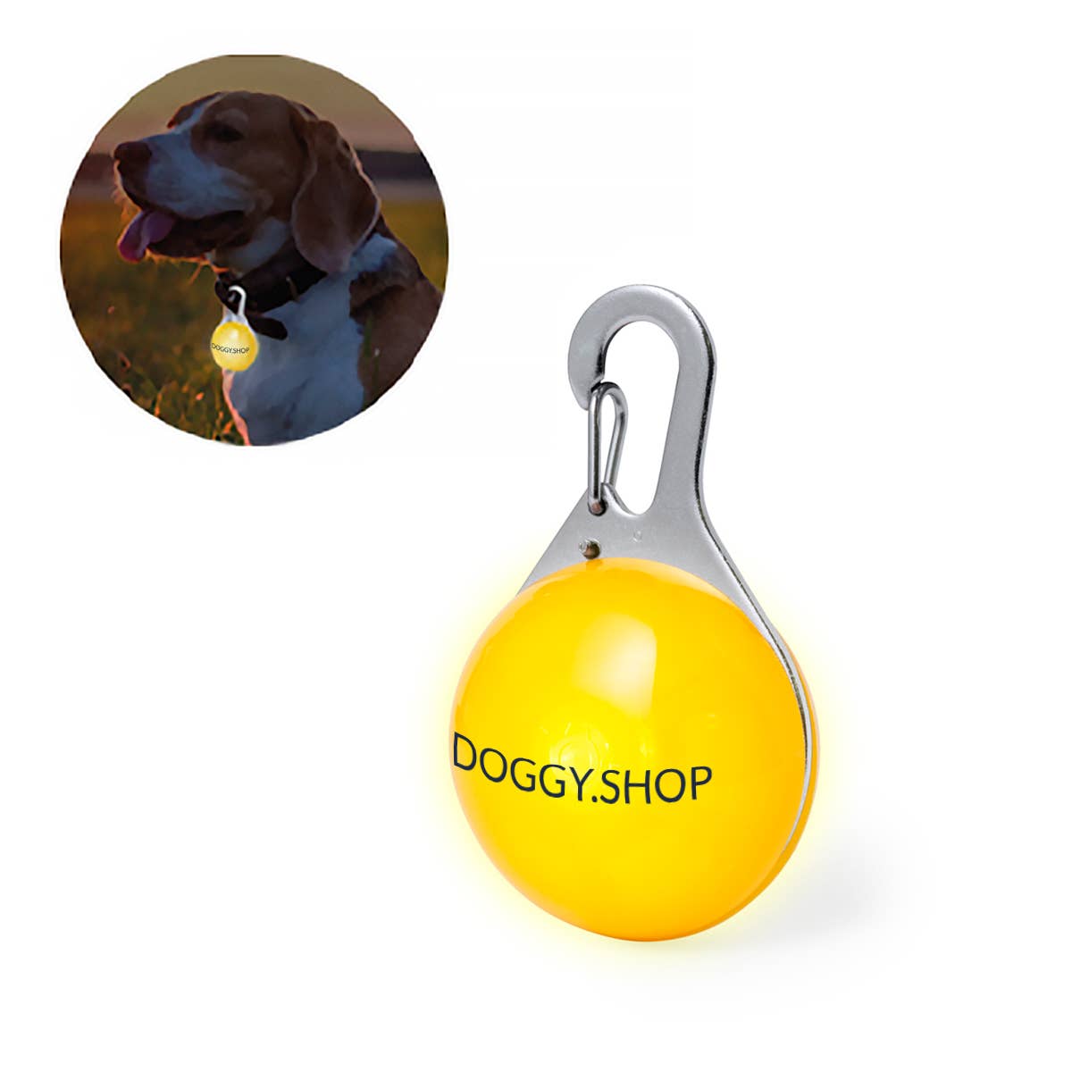 Éclairage de sécurité pour chiens avec LED clignotante - DOGGY