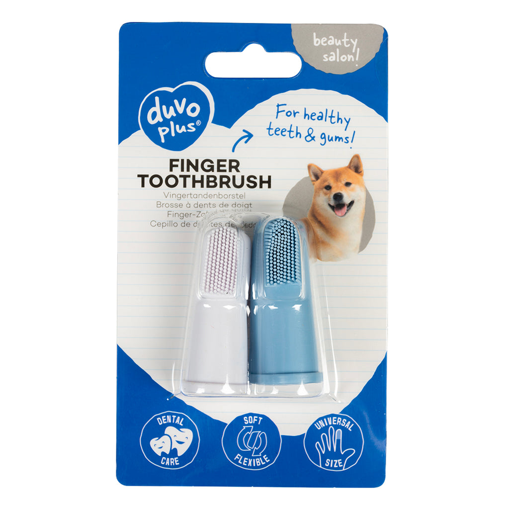 Brosse à dent