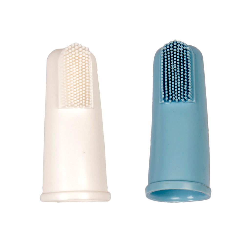 Brosse à dent