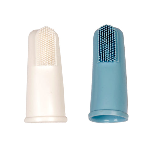 Brosse à dent