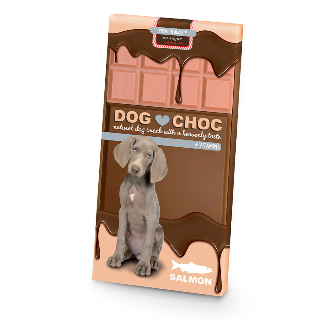 Dog Choc – Barre « chocolat » pour chien – 100 g