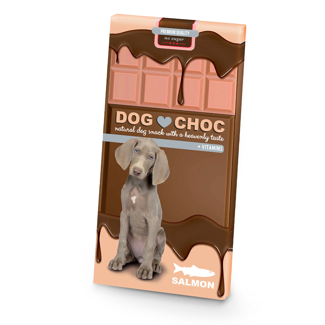 Dog Choc – Barre « chocolat » pour chien – 100 g