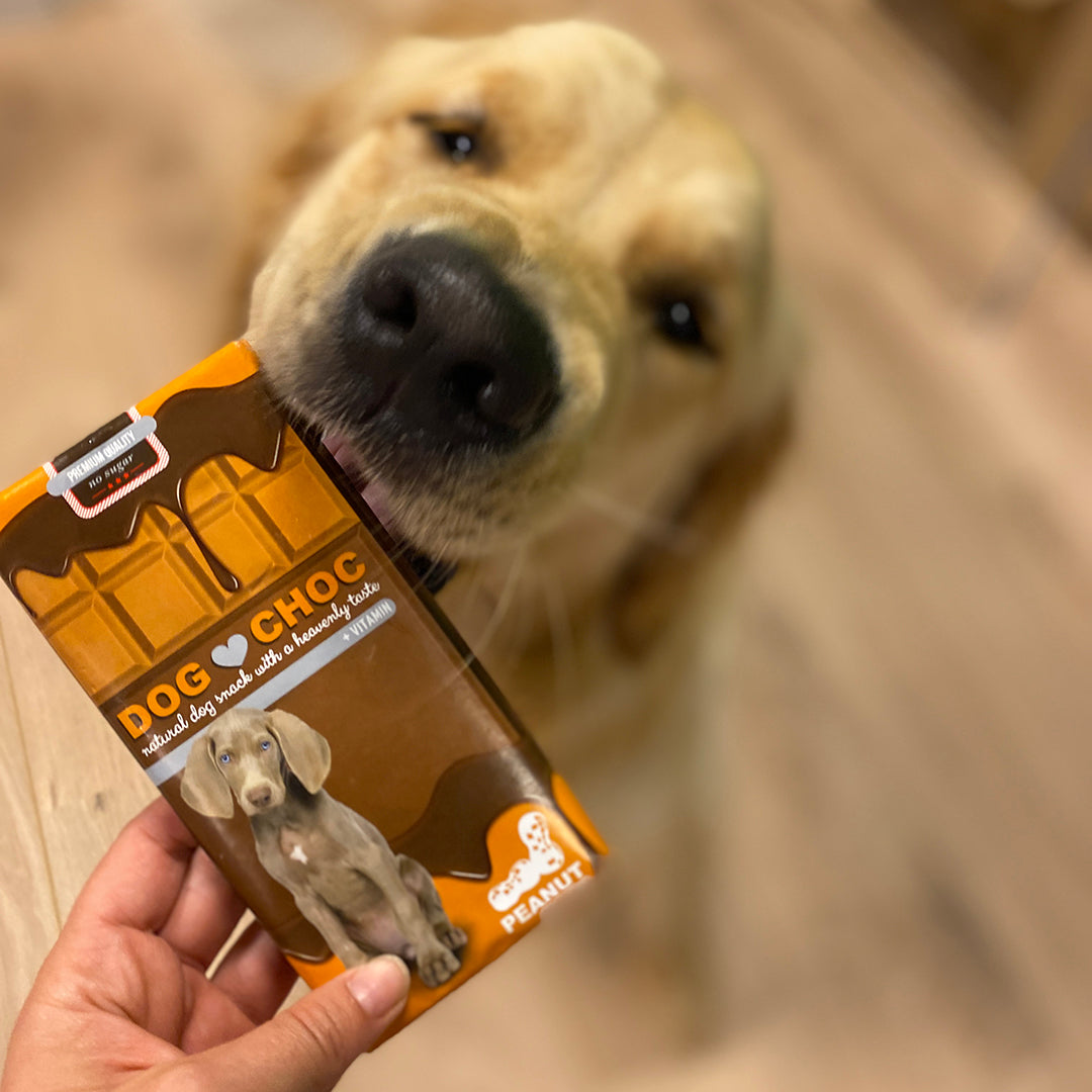 Dog Choc – Barre « chocolat » pour chien – 100 g