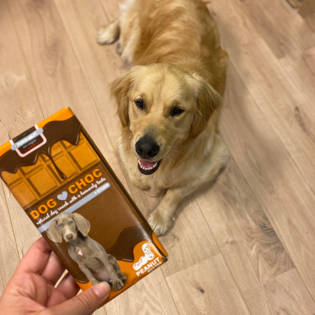 Dog Choc – Barre « chocolat » pour chien – 100 g