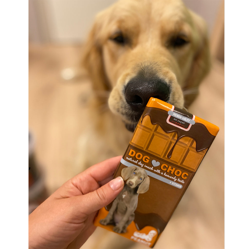 Dog Choc – Barre « chocolat » pour chien – 100 g