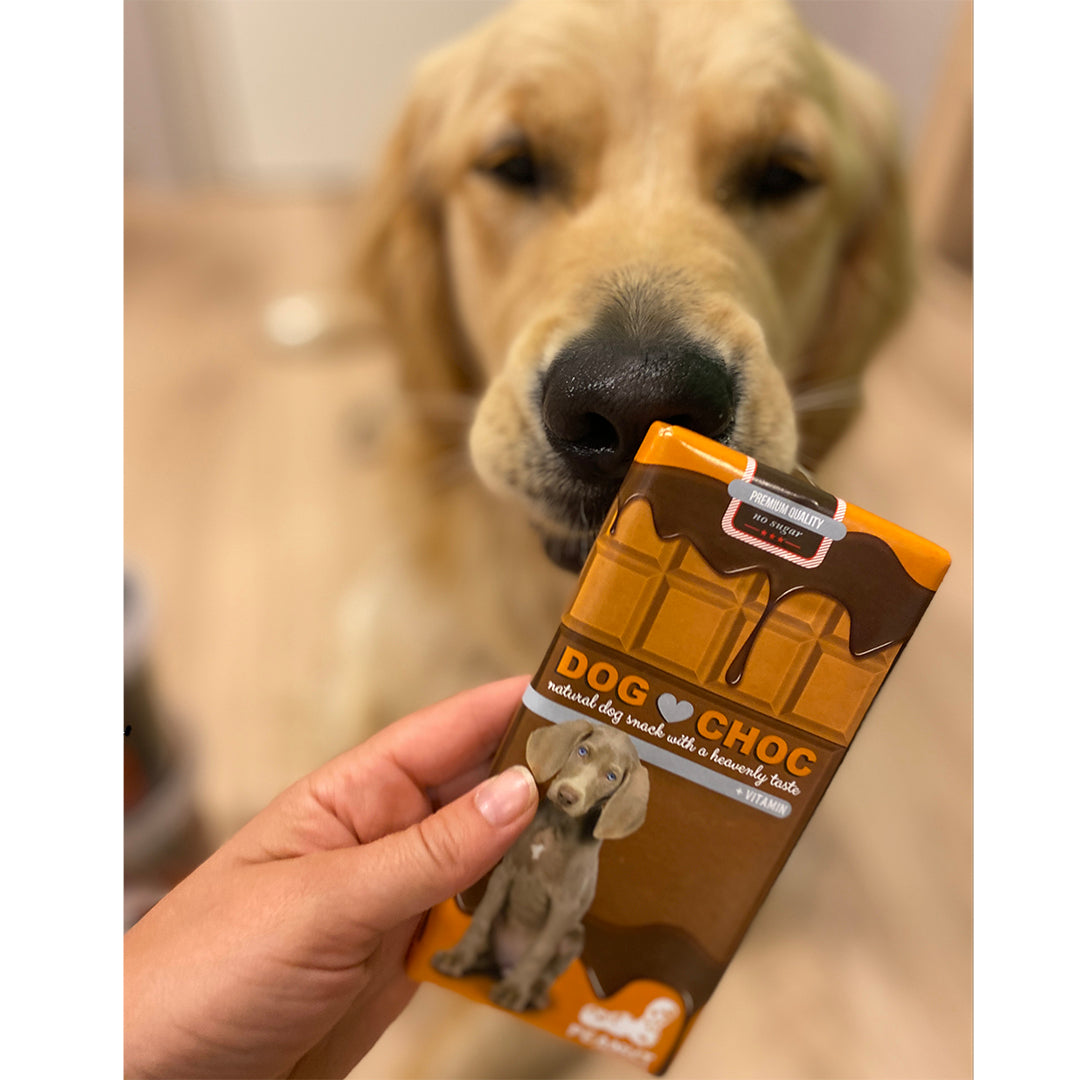 Dog Choc – Barre « chocolat » pour chien – 100 g