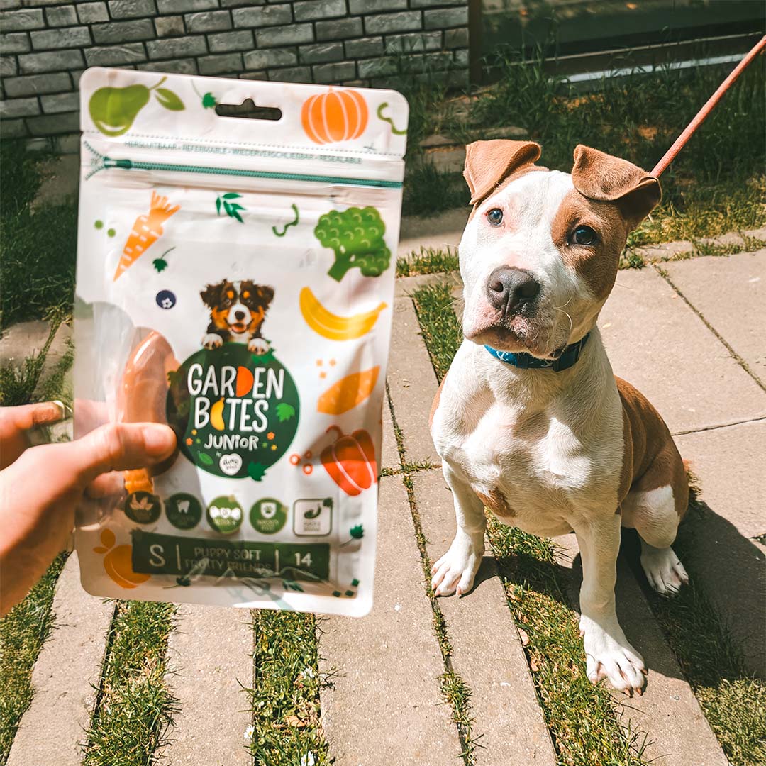 Garden Bites Puppy Soft Fruity Friends – Friandises végétales pour chiots – 210 g
