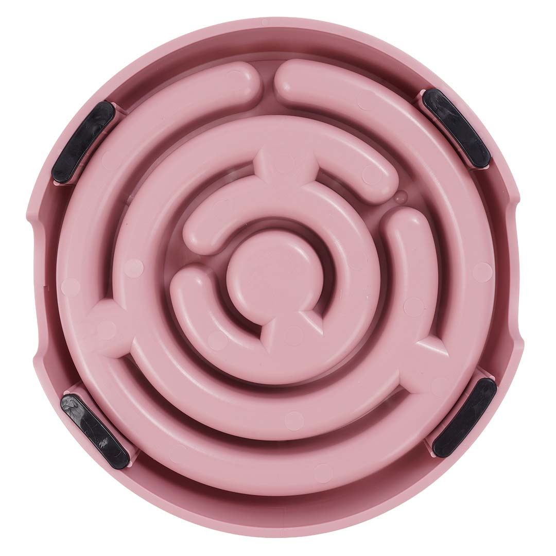 Duvoplus — Gamelle Anti-Glouton Spirale Rose