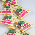 Garden Bites Toby Toothbrush S – Friandises dentaires végétales – 30 g