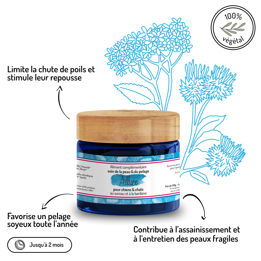 Peau & Pelage – Cure courte – Complément alimentaire