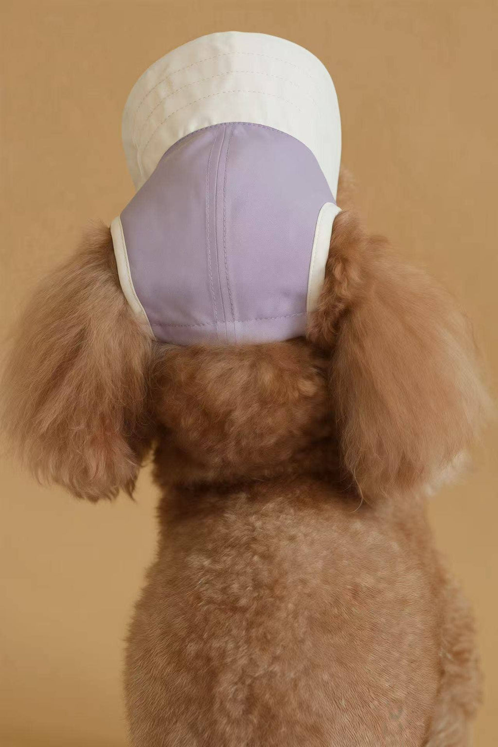 Chapeau pour chien Moonrise – Chalk Purple | Protection UV & pluie