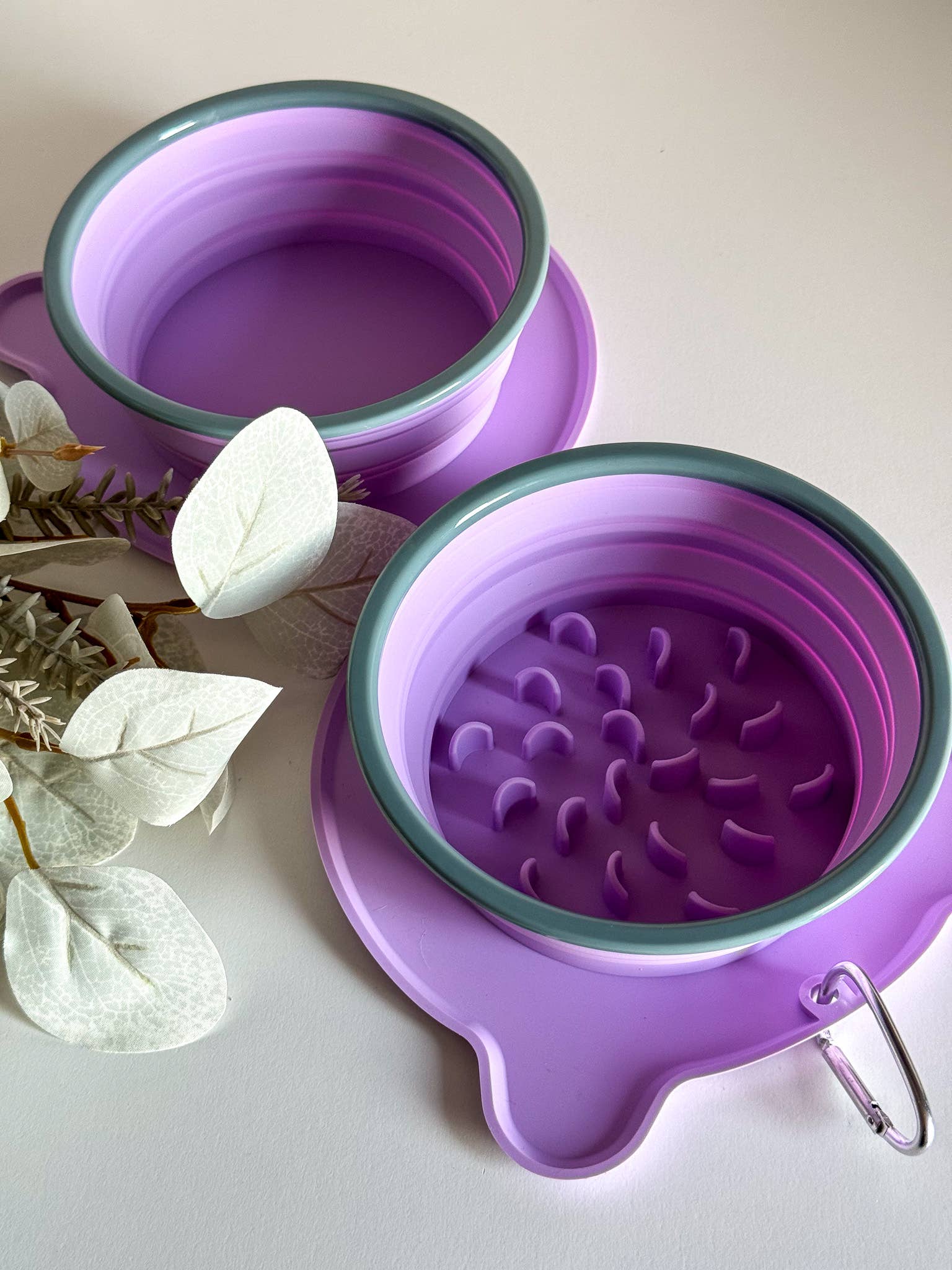 Gamelle de voyage pliable, pour chiens et chats