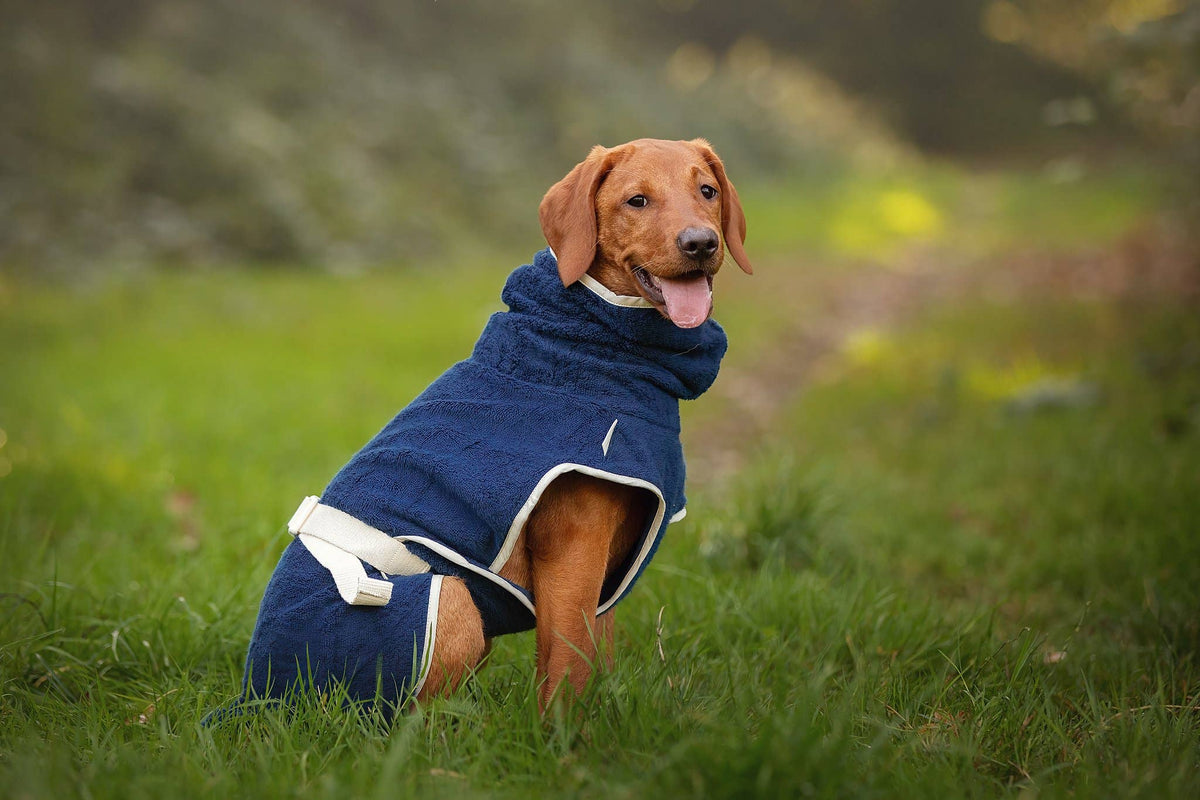 Peignoir de bain pour chien Dog Wellness – Indigo
