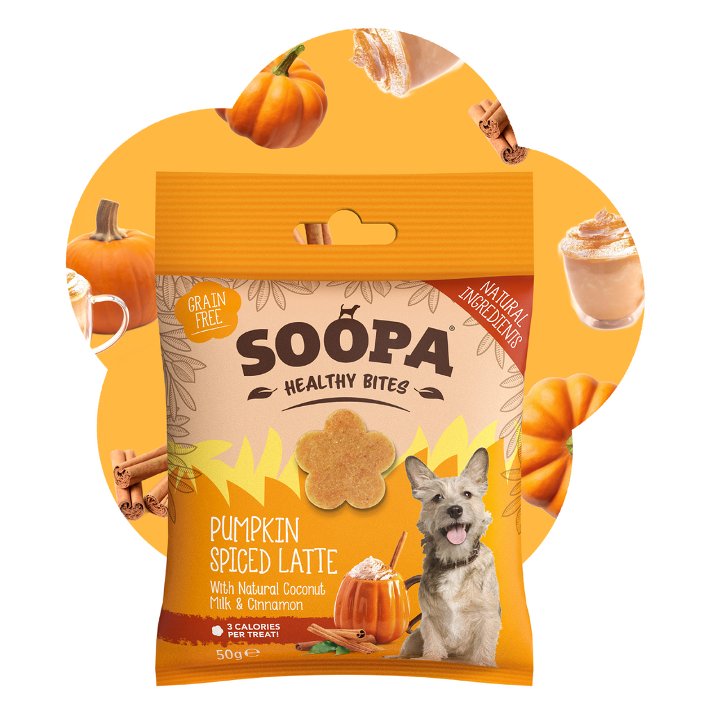 Friandises saines Pumpkin Spice Latte – Soopa - 50g