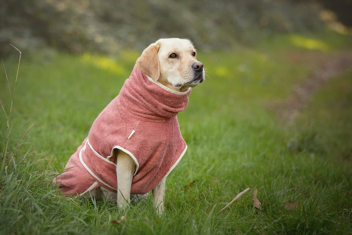Peignoir de bain pour chiens Dog Wellness – Blossom