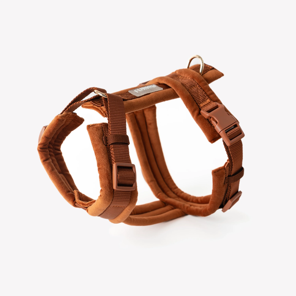 (Pré-commande)Harnais en velours pour chien Furlou – Clay