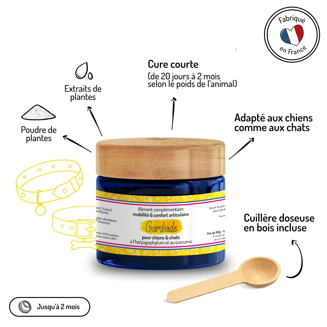 Confort articulaire – Cure courte – Complément alimentaire
