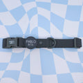 Anthracite : collier imperméable