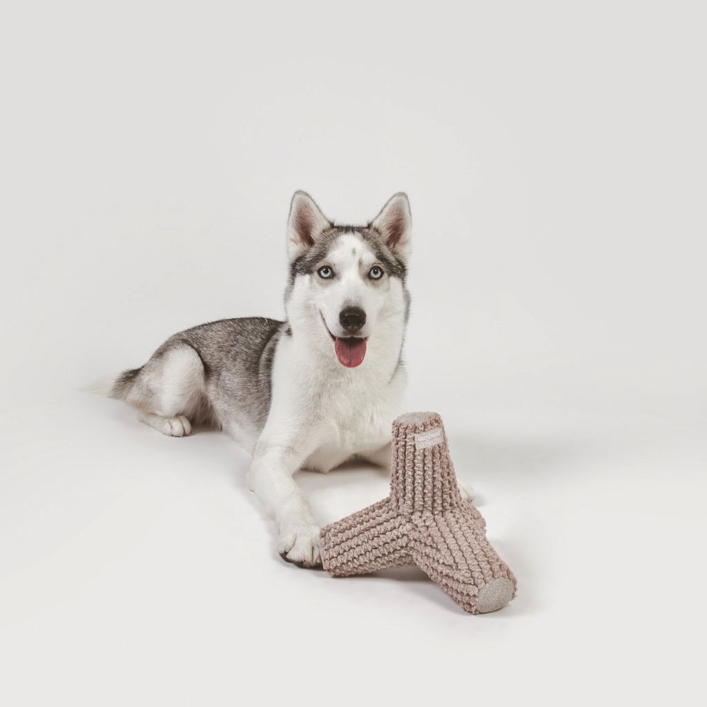 Jouet pour chien BREUER