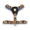 Harnais pour chien Nightless Night recyclé (RPET)