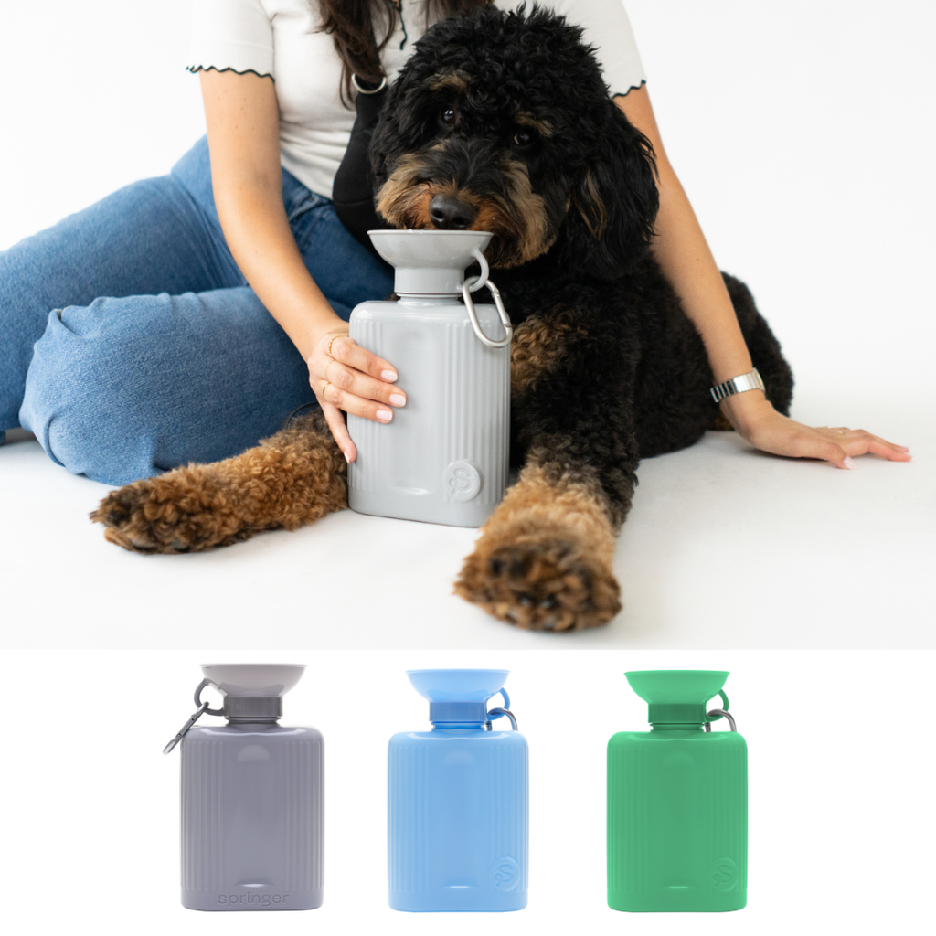 Gourde Portable Springland Pets XXL  — 1,3 L