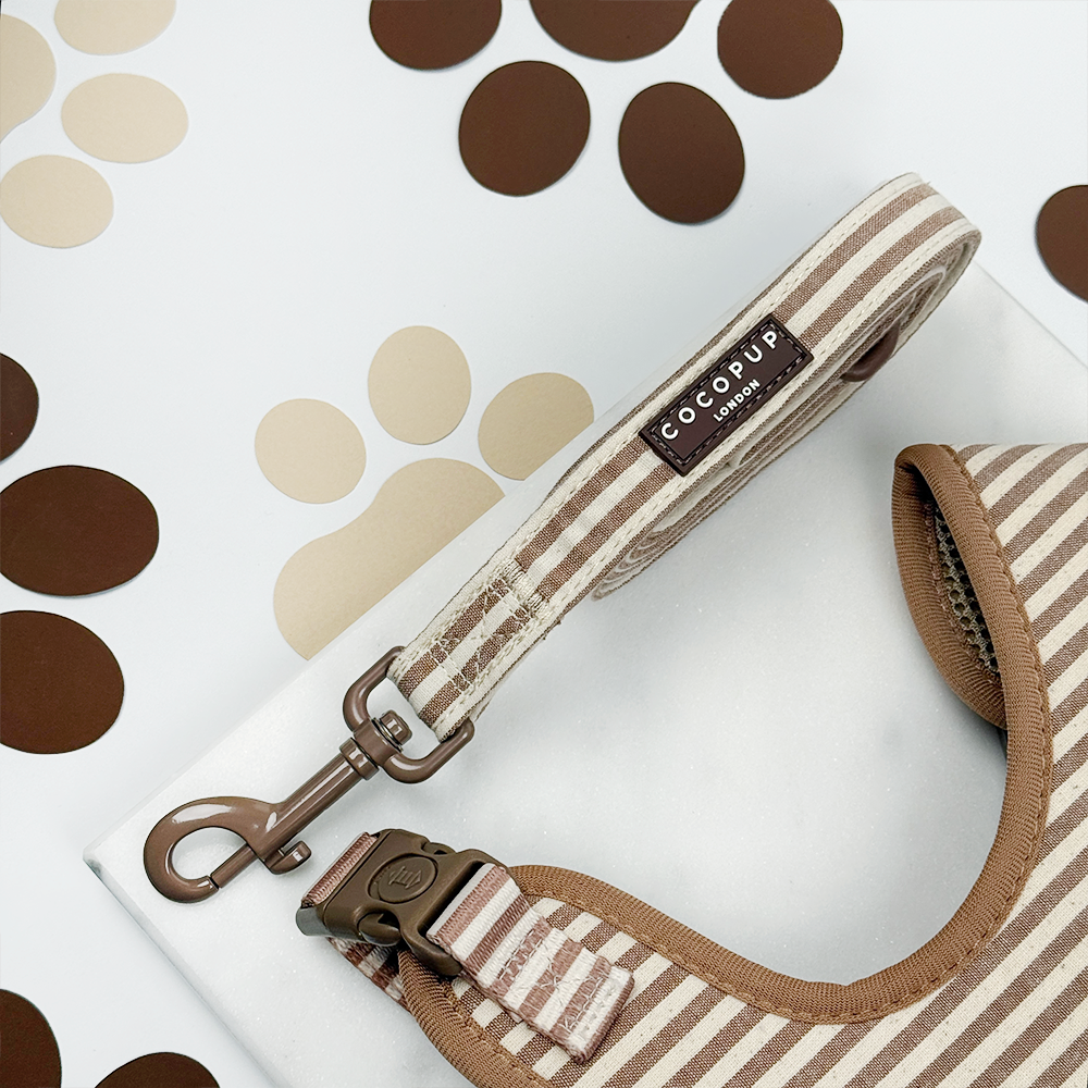 Laisse London Linen Taupe – Cocopup London